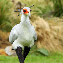 Wait For It - Leslie Odom Jr. (Slowed)