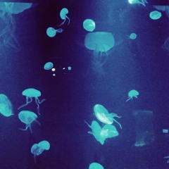 Jellyfish Soda