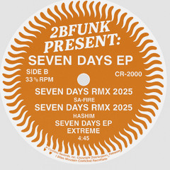 2 2BFUNK PRES. Steven days- GARRIX 303 MIX