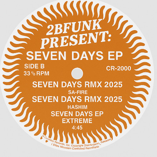 2 2BFUNK PRES. Steven days- GARRIX 303 MIX