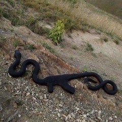 ONLYNERDS! (Prod. PetRan)