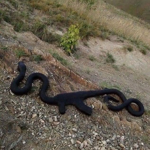 ONLYNERDS! (Prod. PetRan)