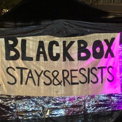 Blackbox stays&resists