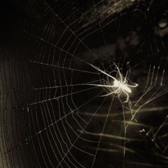 XIN EM HAY QUAY VE - (第三人) ft.mano