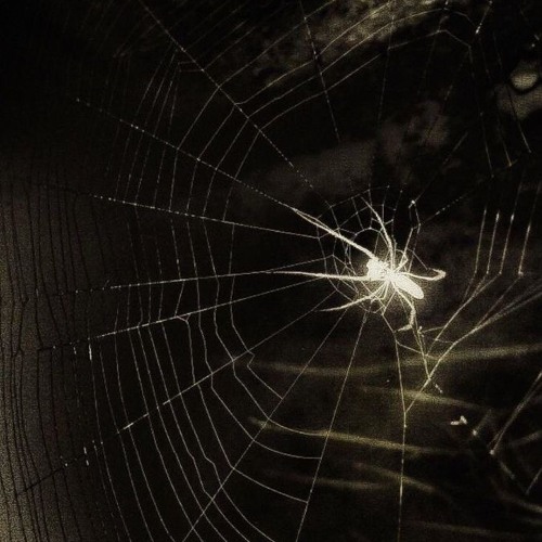 XIN EM HAY QUAY VE - (第三人) ft.mano