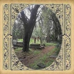 призраки в лесу feat. south3n