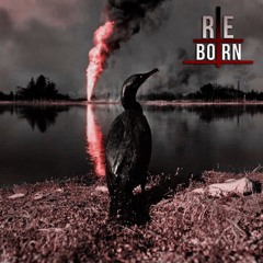 Reborn & Hoegarden1940 - Payday