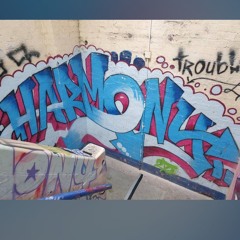 HARMONY YOUTH PROJECT BOLTON N.A.T DEMO 2004