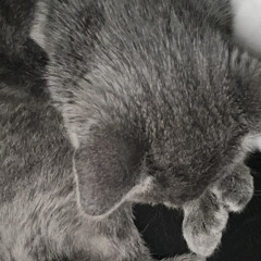 ALLAH KNOWS YOU'RE TRYING HARD TO MAKE HIM HAPPY.mp3