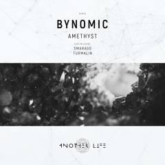 PREMIERE: Bynomic - Amethyst [Another Life Music]