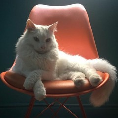 Residencia 032 #blackgatocoelho - VINYL SESSIONS