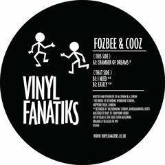 Fozbee & Cooz - Chamber Of Dreams - VFS040 - 192mp3 clip