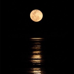 Staircase To The Moon