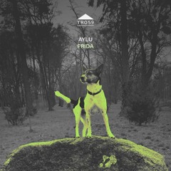 TR059 - Aylu - 'Frida' [sample]