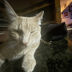 lovesick prod instellarway + lyser + blip