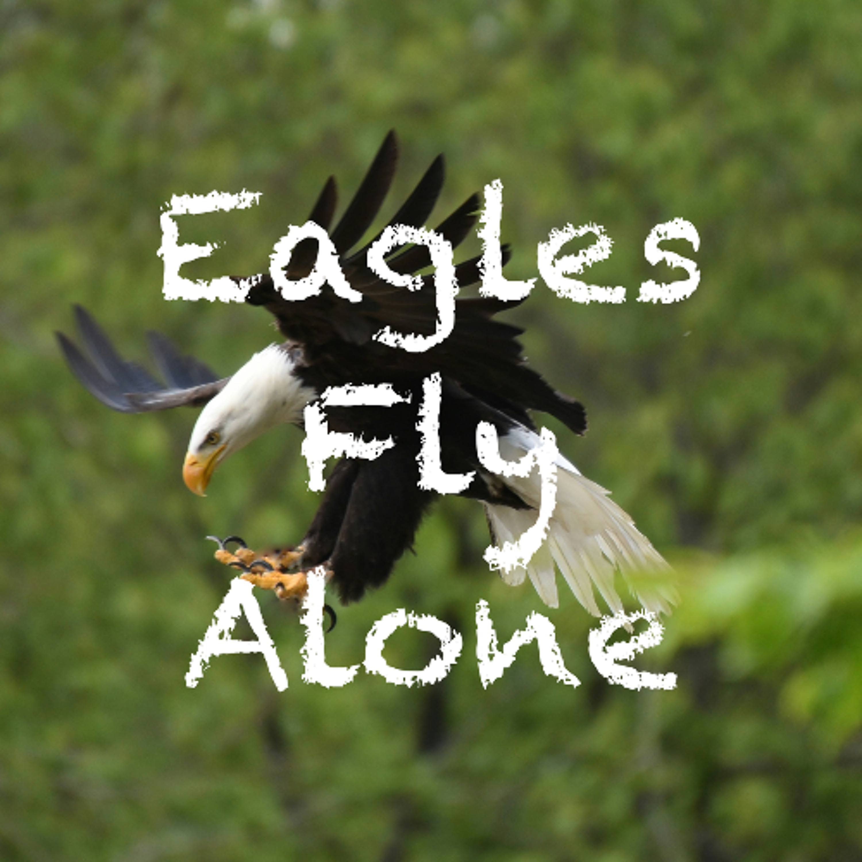 Eagles Fly Alone episode artwork