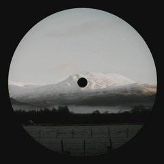 BobCat - Leviant