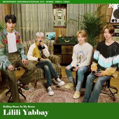 SEVENTEEN(세븐틴) - Lilili Yabbay(13월의 춤)_In My Room