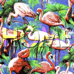 HOME - Descender