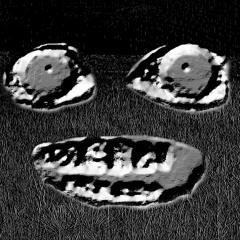 The g̵̭͗r̴̼̕u̷͚̾n̶̲̚k̷̝̍l̵̰͝ȩ̸̚r̶̢̿