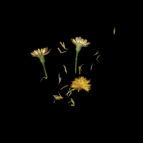Hunger (prod. Froggy)