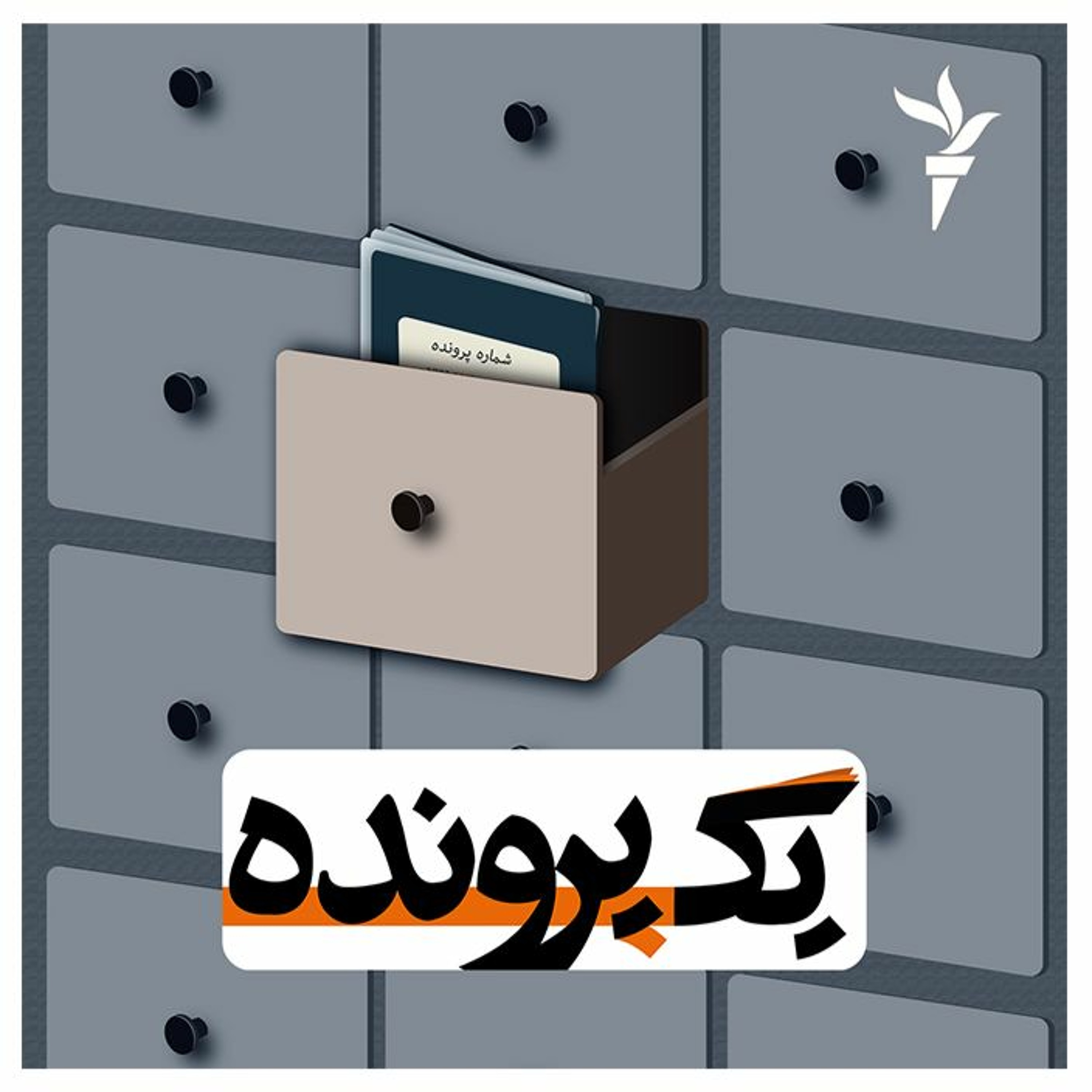 نرگس محمدی؛ از کوهنوردی تا قله صلح جهان