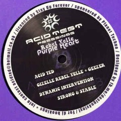 Rebel Yelle - Purple Heart (Dynamic Intervention Remix)
