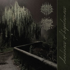 Darkness of hopelessness (Ft. Mephistttopheless)