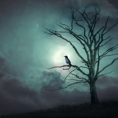Lost in your dream