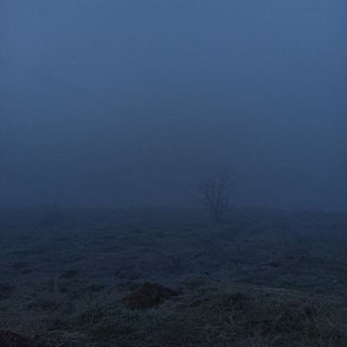 Cold