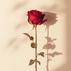 Bbyz 1st bday, Mom singin Dad on the drum🥰