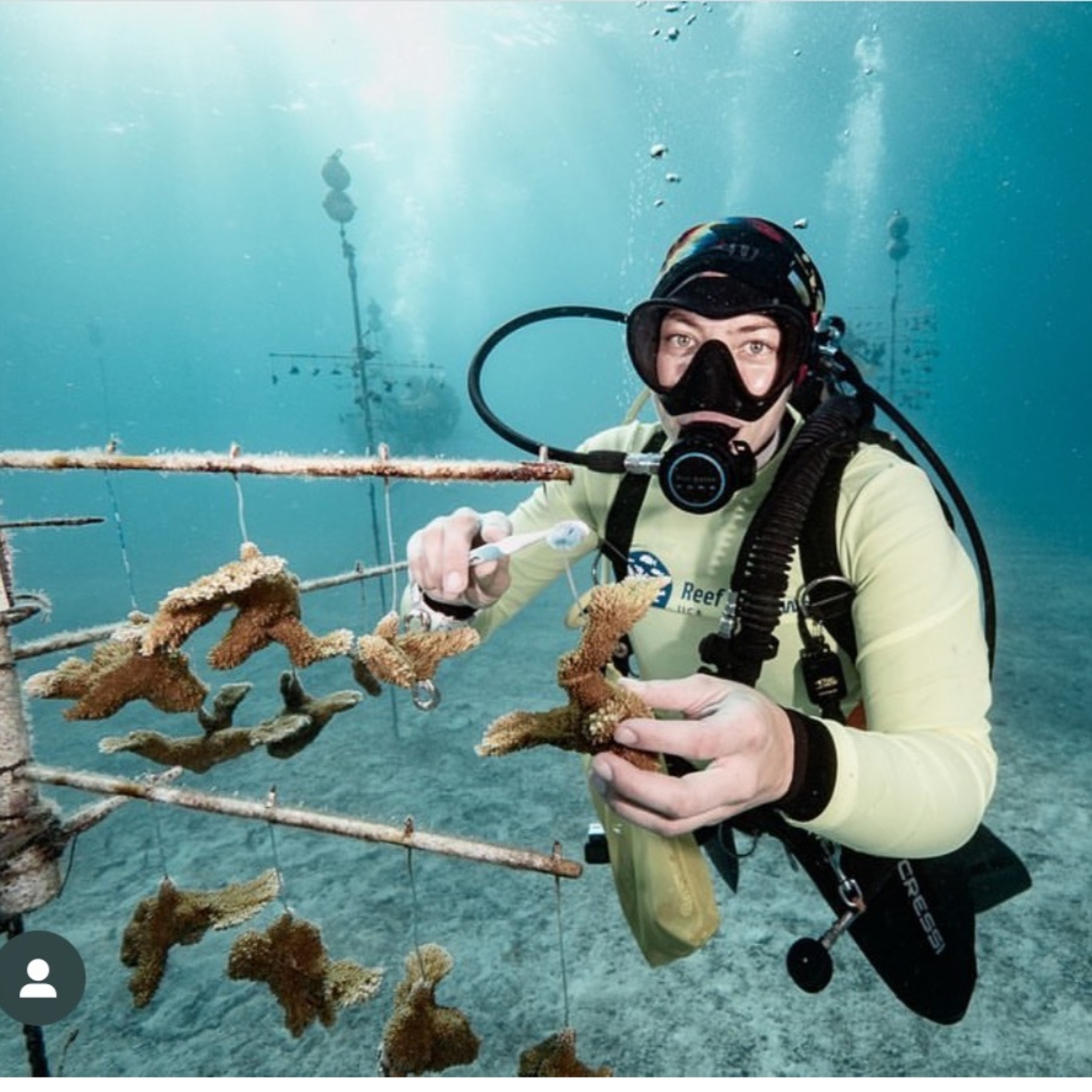 The Natural Curiosity Project