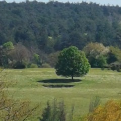 drift phonk with no car