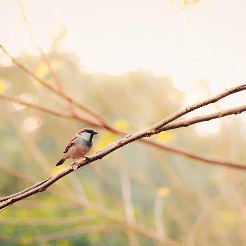 ON YOURS (CHILL LIQUID JAZZ))