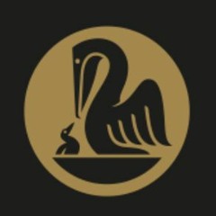 Navidson Bootleg [EXCERPT]