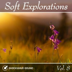Digital Drops (Shockwave-Sound) - Easy, pleasant, nice, Royalty-free background music