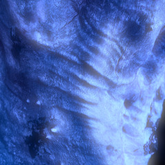 Brekeke ou la Fantaisie Batracienne