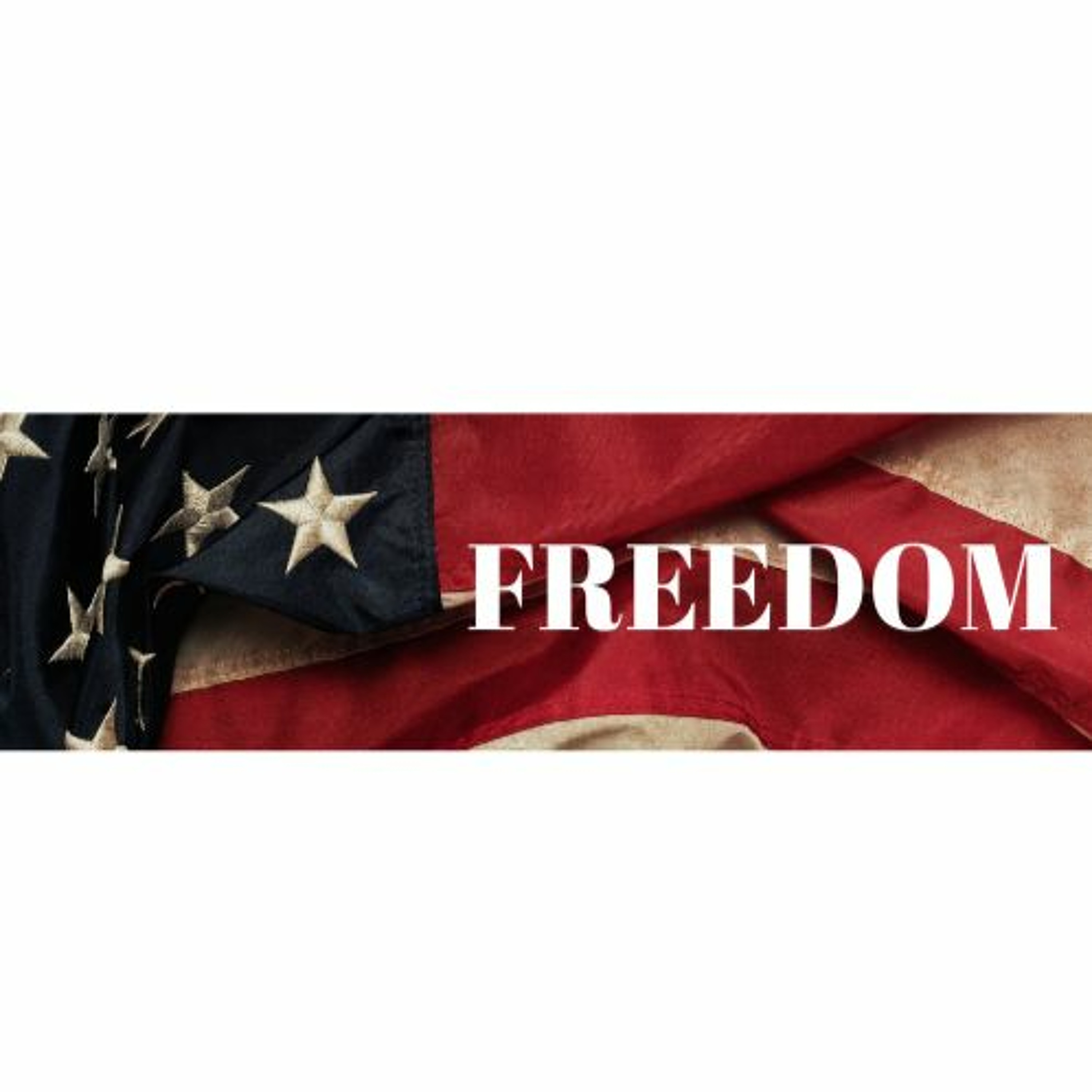 FREEDOM episode artwork