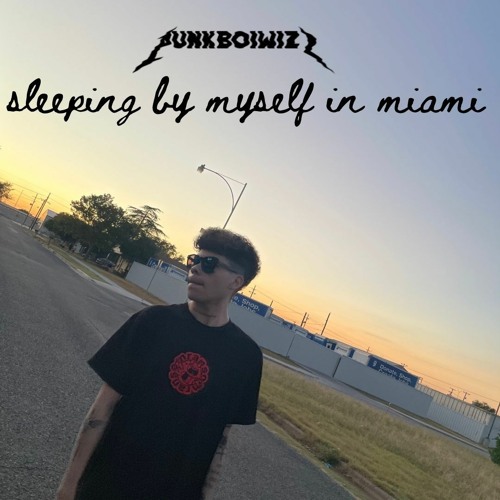 sleeping by myself in miami (prod. v-e beats)