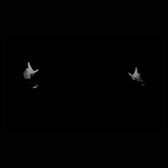 I'm Back (feat.Jeed)