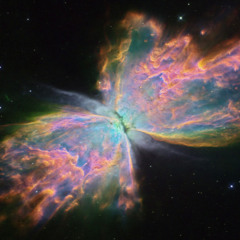 The Butterfly Nebula Transmissions