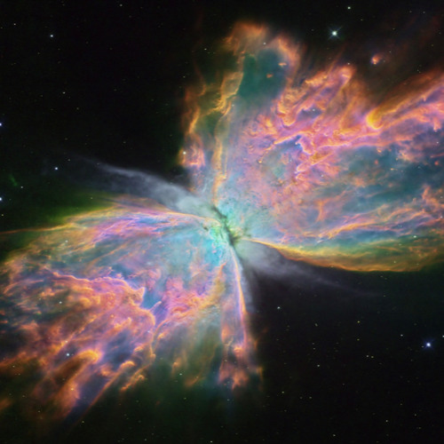 The Butterfly Nebula Transmissions