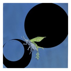 murder scene (feat WOR)