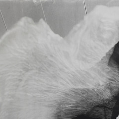 follow your direction