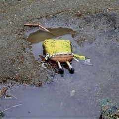 Barelyhappy ++ Don’t Judge ++ (official music video in description)