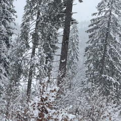 Op een level (winden remix)