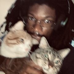 A room with my cats