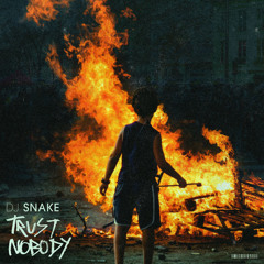 [FREE DOWNLOAD] DJ SNAKE - Trust Nobody (THE BRUM Remix)