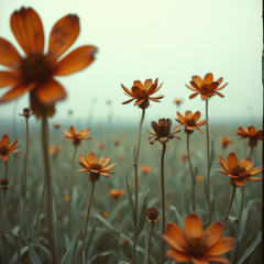 Iron Petals