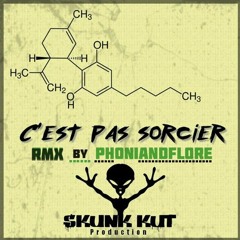 Skunk Kut - C'est Pas Sorcier (RMX By Phoniandflore)